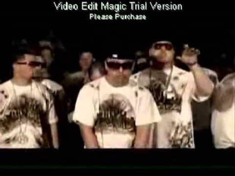 Dime Quien - Cosculluela Ft Young Hollywood