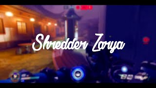 Shredder Zarya (Overwatch)