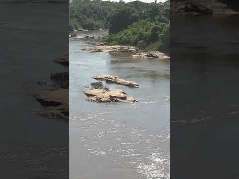 Rio Araguaia - Torixoréu MT e Baliza GO