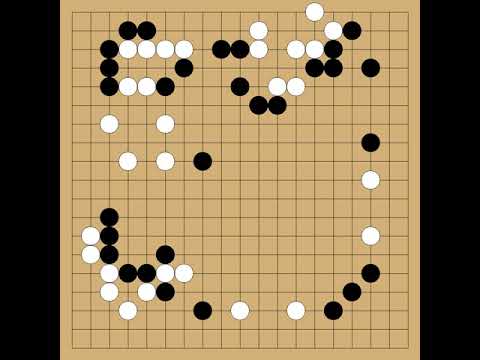 Hashimoto Utaro(9p) vs Ohira Shuzo(9p) - 28th Judan - round 3rd Preliminary - 1989-03-16 - komi: 5.5