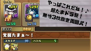 【パズドラ】超たまドラ祭！無惨3枚抜き編成！#shorts【お馴染みのパーティ】