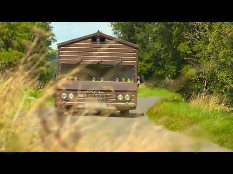 Watch: Guinness World Records reveals fastest garden shed