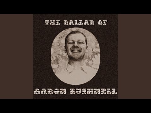 The Ballad Of Aaron Bushnell - Nina Snoogans