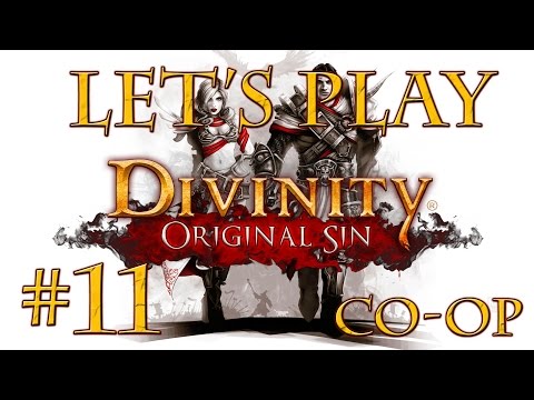 Let's Play Divinity Original Sin (part 11 - Arhu The Cat [Co-Op])