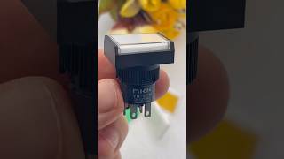 Devolo 09505 Pushbutton switch Video