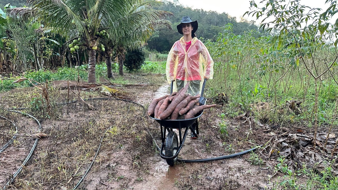 Mesmo em Tempo de chuva, a vida na roça não pode parar