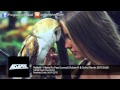 Reflekt - Need To Feel Loved (Adam K & Soha ...