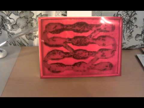 Messor capitatus 16.03.13 - 1