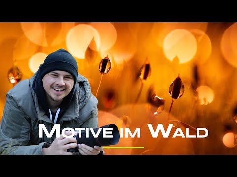 Photographing exciting subjects in the forest - Nature photography tutorial