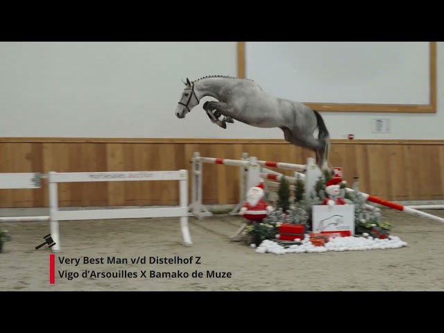 Very Best Man v/h Distelhof Z