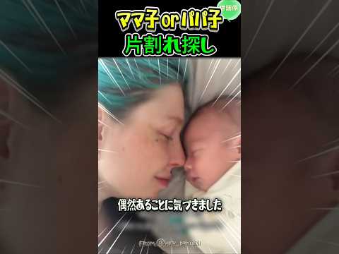 ママとパパのパズル