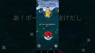 カロスへの道・色違いピカチュウゲットチャレンジ＃①⑧