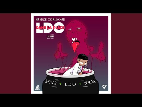 Video thumbnail for LDO dans la place