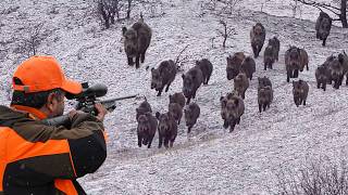 Download lagu HUNTING MASSIVE WILD BOAR HERDS IN DEEP SNOW mp3