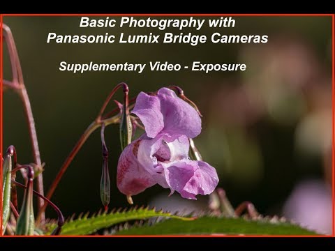 Basic Photography with Panasonic Bridge Cameras: Part 5 Supplemental: EXPOSURE