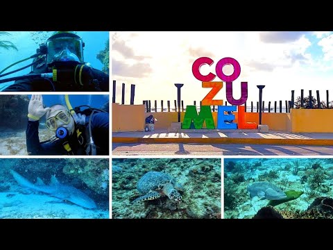 Scuba Diving In Cozumel Mexico