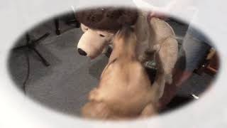 No Signal by TobyMac music video 2018