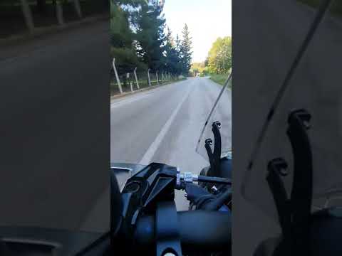 MrBull 》Besomorph - Sweet Dreams