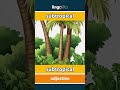 subtropical - subtropical video thumbnail