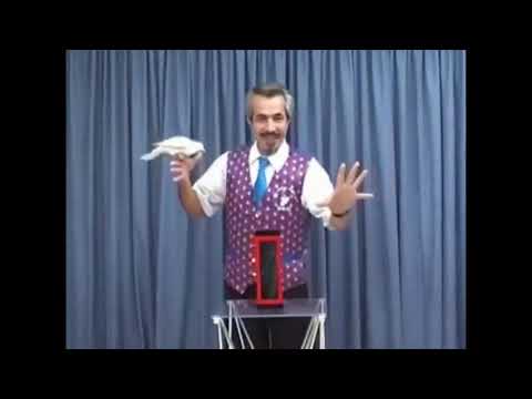 Saturn Magic - Auto Dove to Silk by Tora Magic - Trick