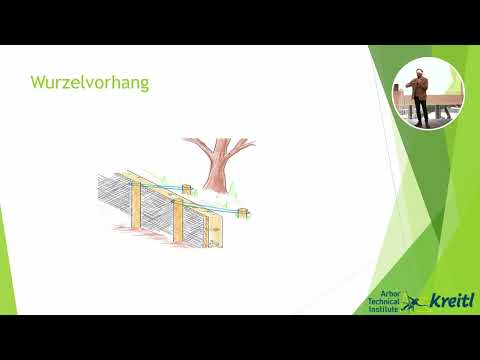 Baumschutz auf Baustellen