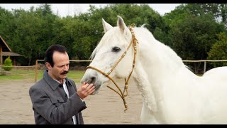 The Transformation of Jaime (The Dance Of Reality)