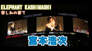 エレファントカシマシ　宮本浩次　悲しみの果て　ELEPHANT KASHIMASHI　エレファントカシマシ 日比谷野外大音楽堂 2020　エレカシ　ユニカビジョン