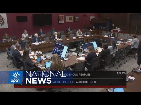 Indigenous youth have say on proposed National Council for Reconciliation | APTN News