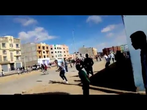 MOMONOSUKE X NAMI X ROBIN AMV  WOW! ❤️