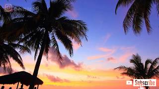 Download lagu Steven & Coconut Treez - lagu santai mp3