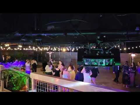 DJ BEE - DJBEE.Net video.