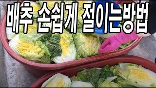 김치공장에서 터득한 뒤집지 않고 한방에 김장배추 절이는 방법!