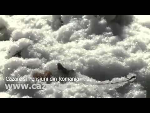 Cazare Dranceni, Vaslui - Cazat.ro