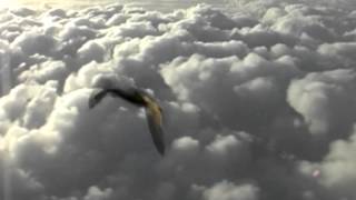 Plastikman - EXposed