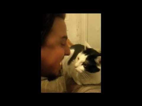 Cat scratches my face. HOSPITALIZED!