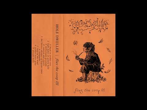 Hole Dweller - Flies the Coop III (2024) (Dungeon Synth, Fantasy Synth)