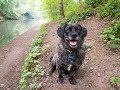 Barney My Best Friend