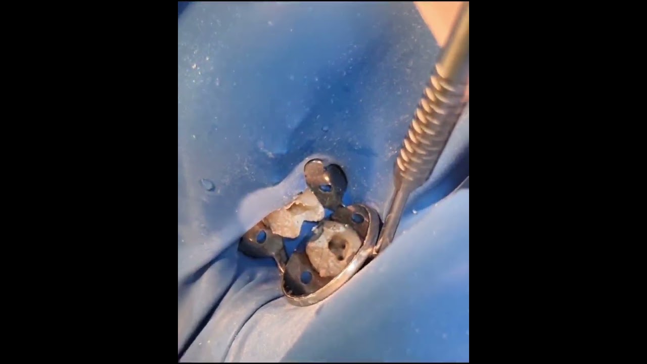 Francisco Sánchez Martínez-6