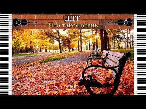 ДДТ - Что такое осень | кавер на скрипке и пианино