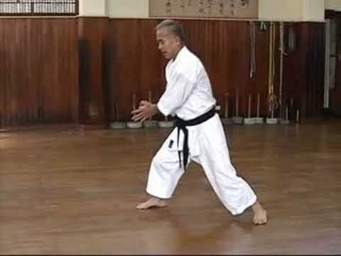 Saifa kata   TairaBunkai com  View Video