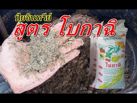 การวินิจฉัยแยกโรคกลากของตาราง ครีม kutiveyt สำหรับโรคสะเก็ดเงิน