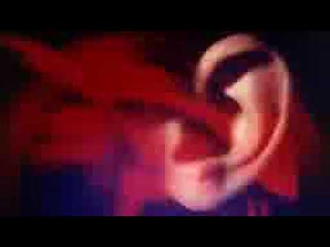 Zugeflüstert und angeschrien: Vom Leben mit fremden Stimmen