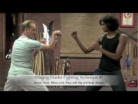Praying Mantis Kung Fu - 10 Real Fighting Moves!