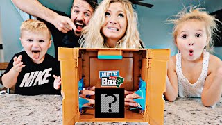 What's In The Box by Blip Toys GAME Review  |  Crazy MYSTERY Guessing Game
