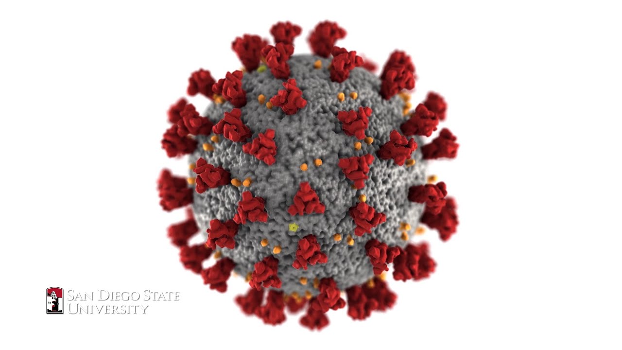SDSU Researchers Confront COVID-19
