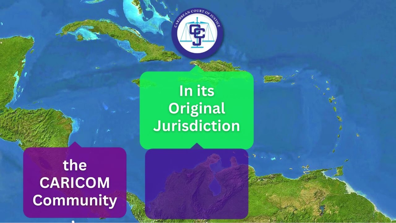 08 Who Can Bring a Matter Before the Court in its Original Jurisdiction?