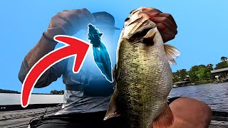 Every Pro Is Switching to THIS New Bass Bait…