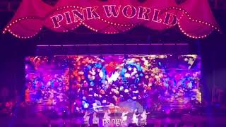 200201 에이핑크 Apink Pink World Concert - Enough