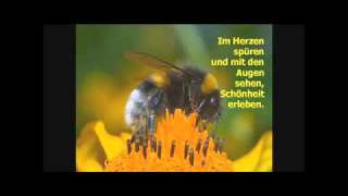 Mein erster Film.......   Musik: Mario Jordan