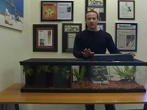 Box Turtle & Tortoise Cage - First Look